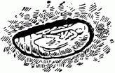 Жизнь насекомых. Рассказы энтомолога _393.jpg