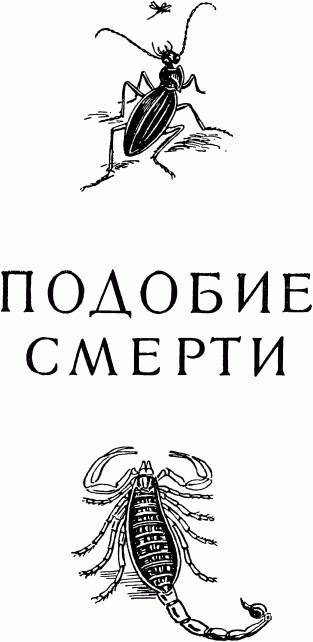 Жизнь насекомых. Рассказы энтомолога _496.jpg