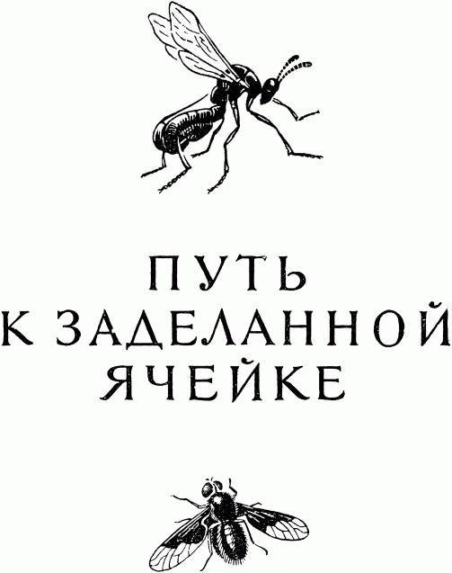 Жизнь насекомых. Рассказы энтомолога _245.jpg