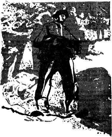 Киевские ночи (сборник) i_008.jpg