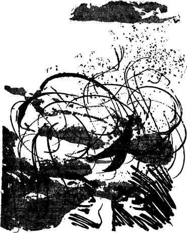 Киевские ночи (сборник) i_009.jpg