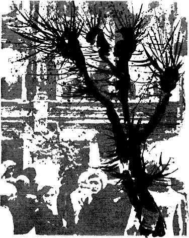 Киевские ночи (сборник) i_011.jpg