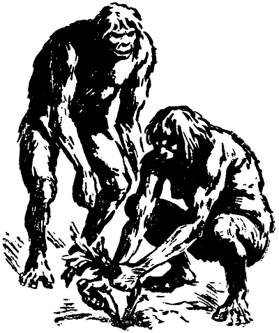 Когда человека не было _0090400na477.png