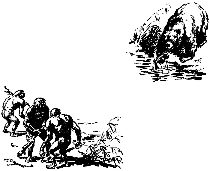 Когда человека не было _01430144700na568.png