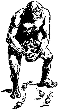 Когда человека не было _0219250na461.png