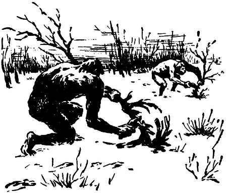 Когда человека не было _0225450na382.png