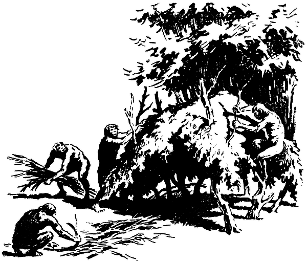 Когда человека не было _0254600na514.png