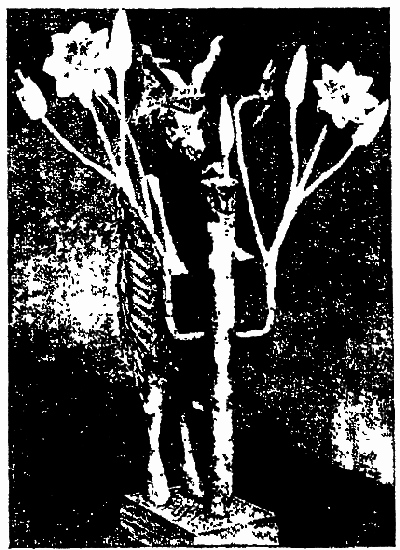 Ур Халдеев i415be02452.png