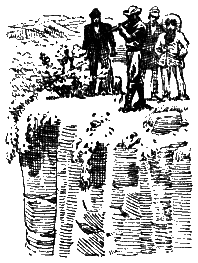 Затерянный мир (илл.) i_09.png