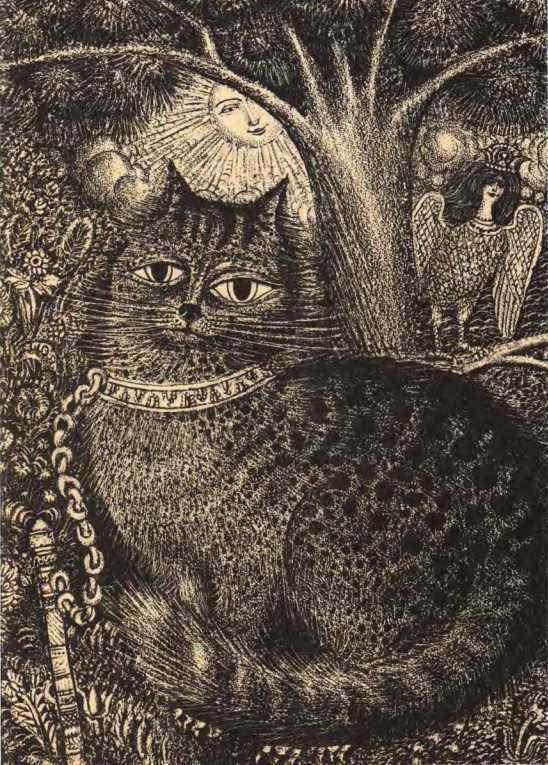 Белая лебедушка (сборник) (с илл.) i_054.jpg