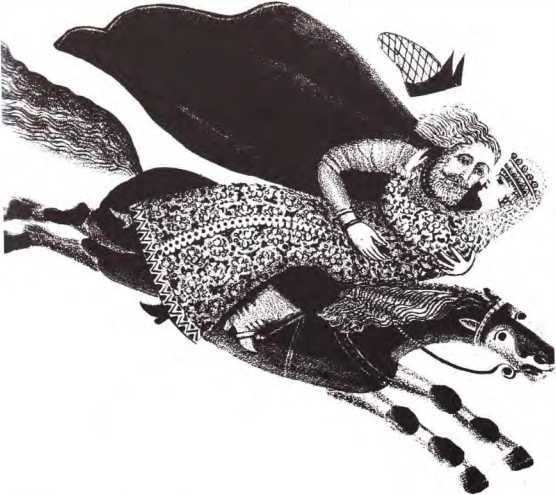Белая лебедушка (сборник) (с илл.) i_011.jpg
