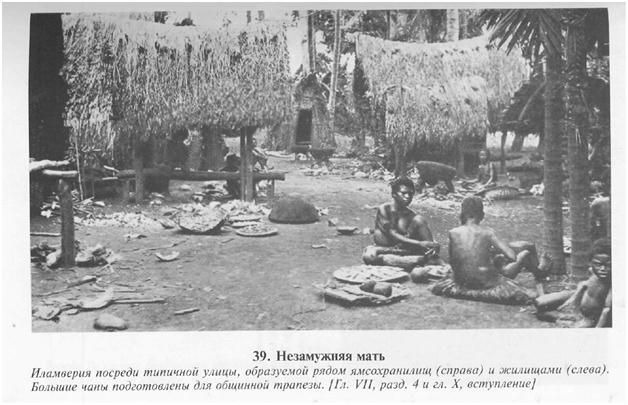 Сексуальная жизнь дикарей Северо-Западной Меланезии img133.jpg