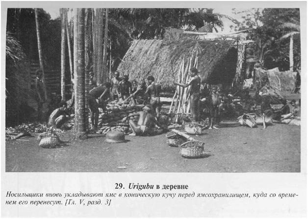 Сексуальная жизнь дикарей Северо-Западной Меланезии img1D5E.jpg
