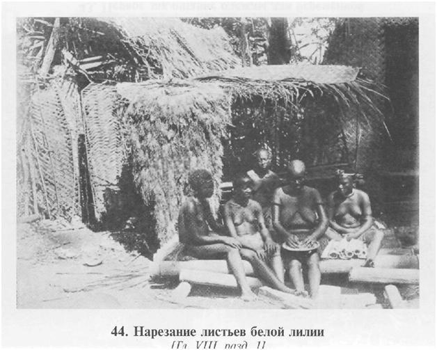 Сексуальная жизнь дикарей Северо-Западной Меланезии img1E08.jpg