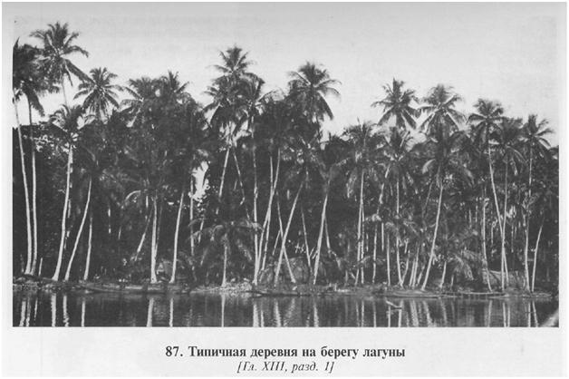 Сексуальная жизнь дикарей Северо-Западной Меланезии img20B.jpg