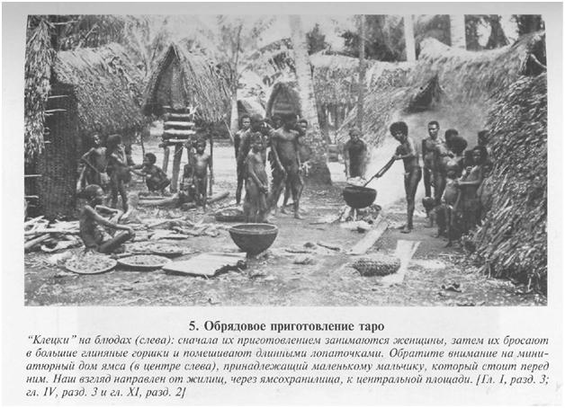 Сексуальная жизнь дикарей Северо-Западной Меланезии img33D0.jpg