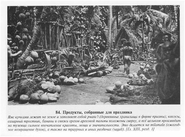 Сексуальная жизнь дикарей Северо-Западной Меланезии img3805.jpg