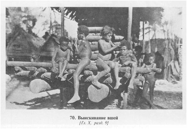 Сексуальная жизнь дикарей Северо-Западной Меланезии img39D2.jpg