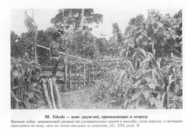 Сексуальная жизнь дикарей Северо-Западной Меланезии img3CD2.jpg