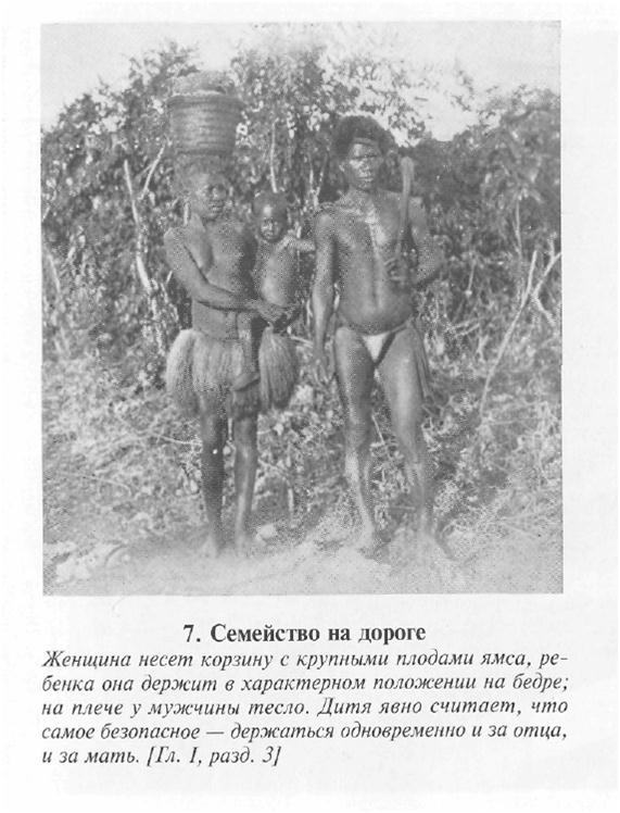 Сексуальная жизнь дикарей Северо-Западной Меланезии img506C.jpg