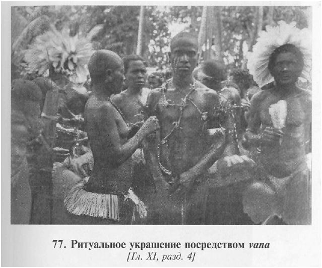 Сексуальная жизнь дикарей Северо-Западной Меланезии img55DC.jpg