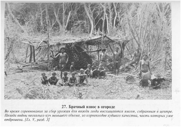 Сексуальная жизнь дикарей Северо-Западной Меланезии img64FB.jpg