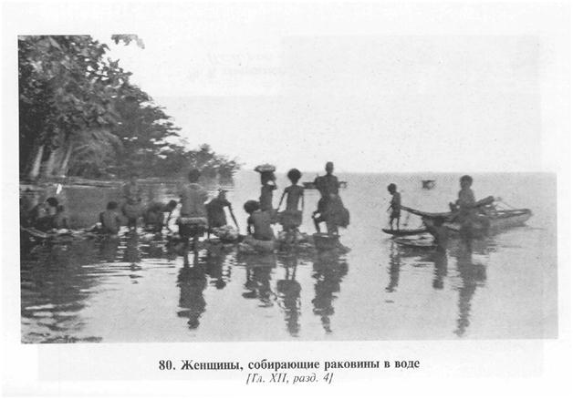 Сексуальная жизнь дикарей Северо-Западной Меланезии img67C9.jpg