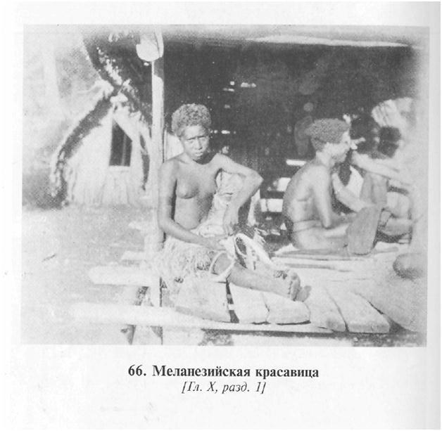 Сексуальная жизнь дикарей Северо-Западной Меланезии img818.jpg