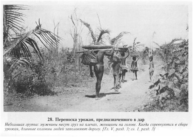 Сексуальная жизнь дикарей Северо-Западной Меланезии imgA2C0.jpg