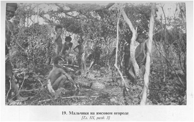 Сексуальная жизнь дикарей Северо-Западной Меланезии imgA6A6.jpg
