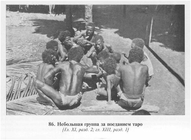 Сексуальная жизнь дикарей Северо-Западной Меланезии imgC9B5.jpg