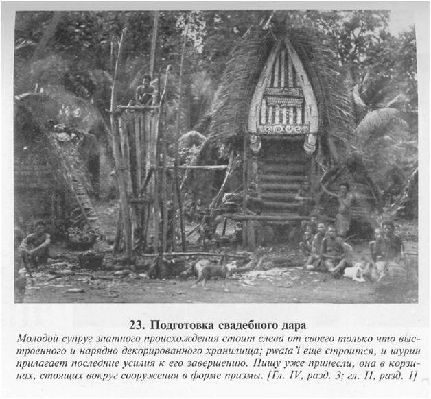 Сексуальная жизнь дикарей Северо-Западной Меланезии imgF222.jpg