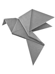 img_13.jpeg
