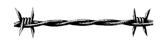 img_23.jpeg