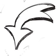 img_28.jpeg