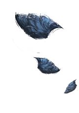 img_54.jpeg