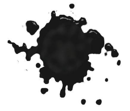 img_57.jpeg