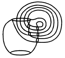 Амариллис день и ночь pic_4.png