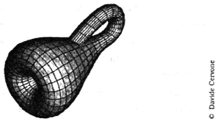 Амариллис день и ночь pic_1.png
