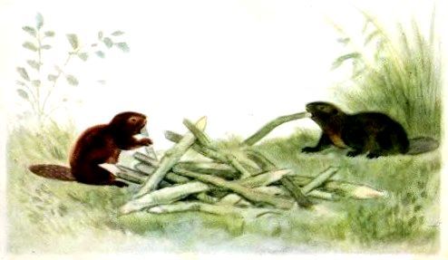 Кто как живет (с илл.) pic_2.jpg
