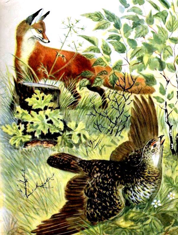 Кто как живет (с илл.) pic_13.jpg