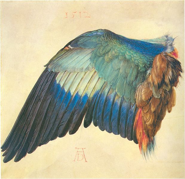 Дюрер i_039.jpg
