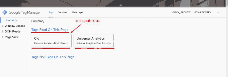 Google Tag Manager для googлят. Руководство по управлению тегами _486.png