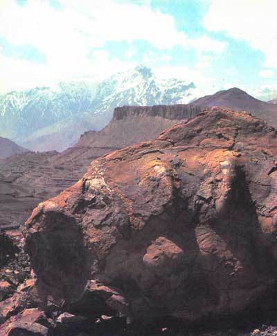 Живая планета i_007.jpg