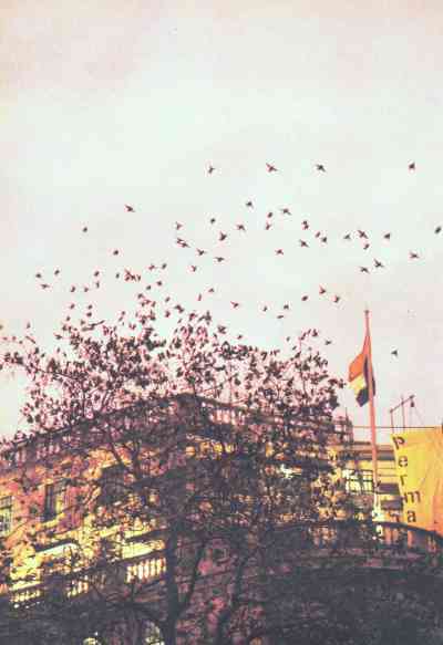 Живая планета i_133.jpg