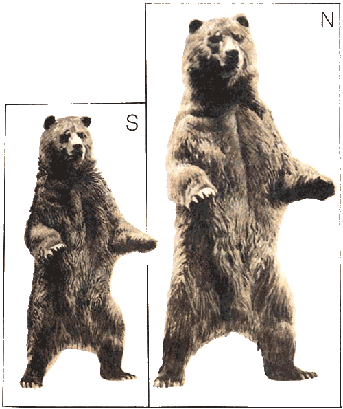 Невидимые нити природы i_004.png