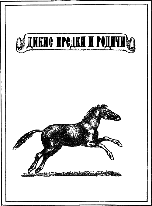 На коне — через века i_003.png