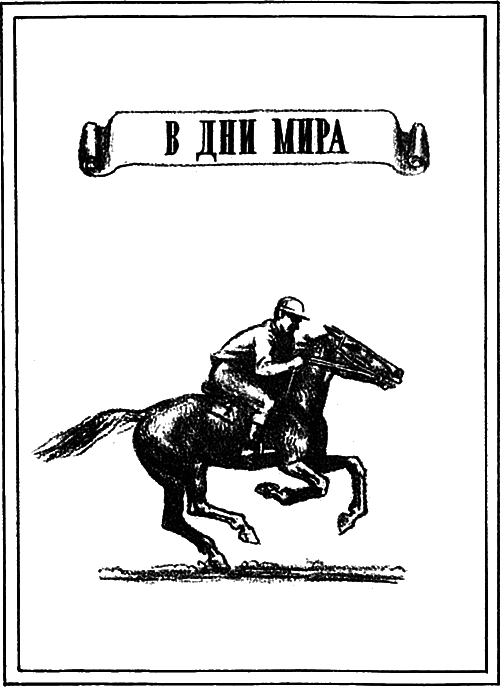 На коне — через века i_015.png
