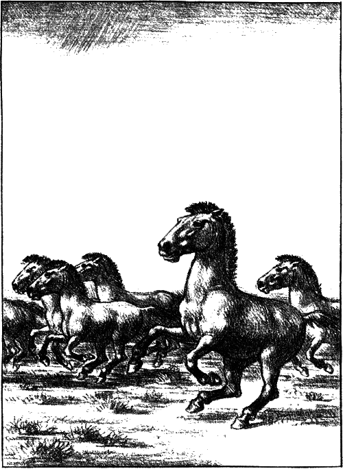 На коне — через века i_005.png