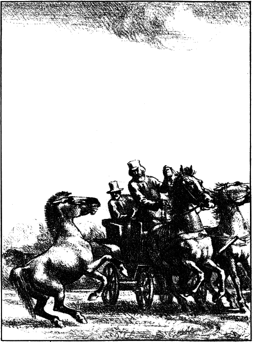 На коне — через века i_007.png